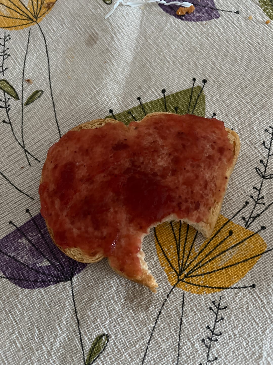 Customer photo review of Pan Bauletto Low Carb Extreme