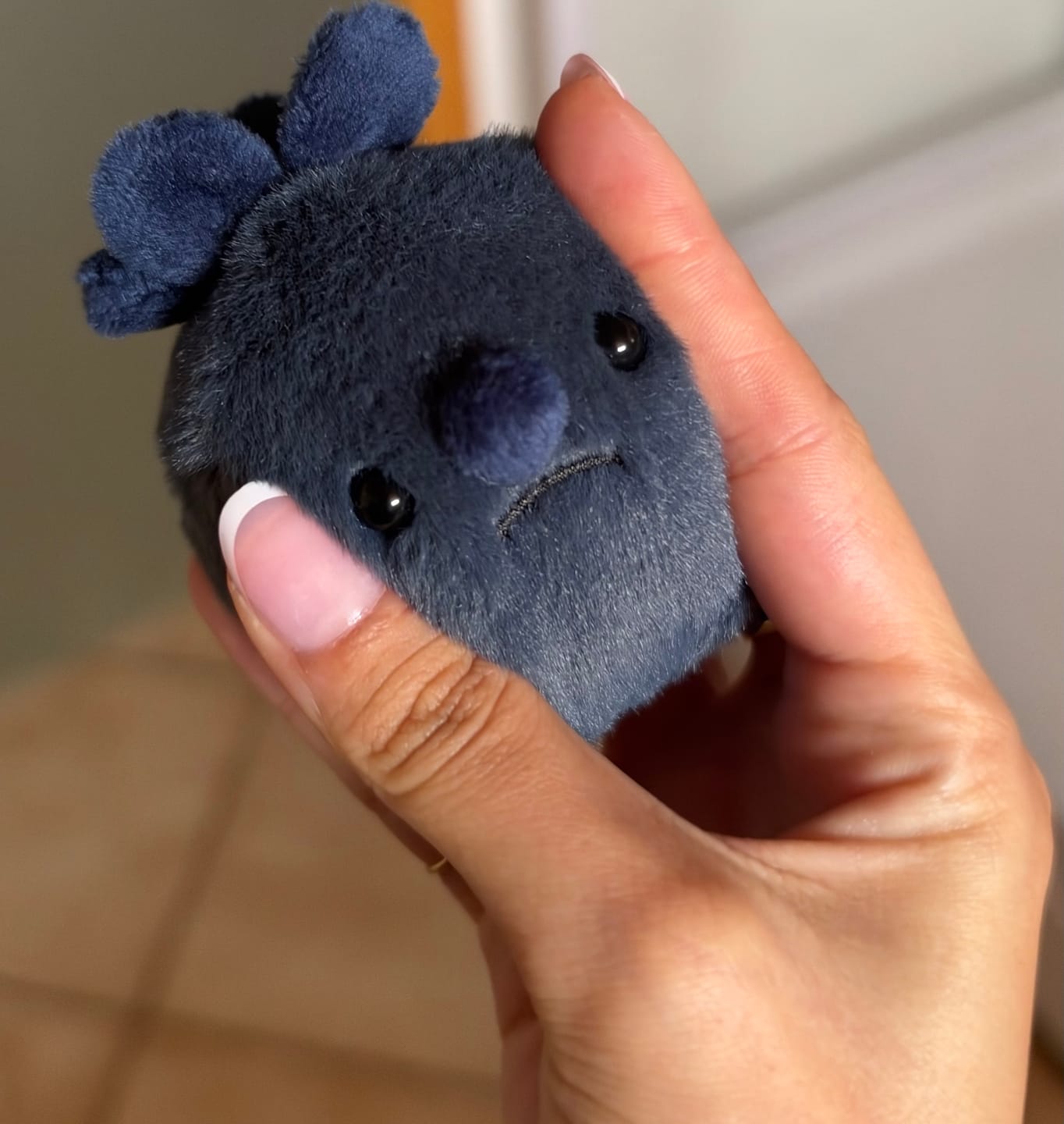 Customer photo review of Forgotten Single Blueberry