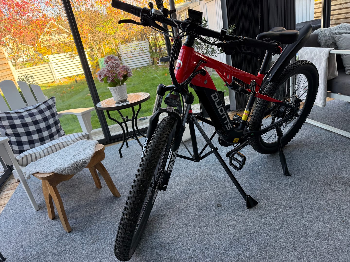 Customer photo review of DUOTTS E29 Electric Bike
