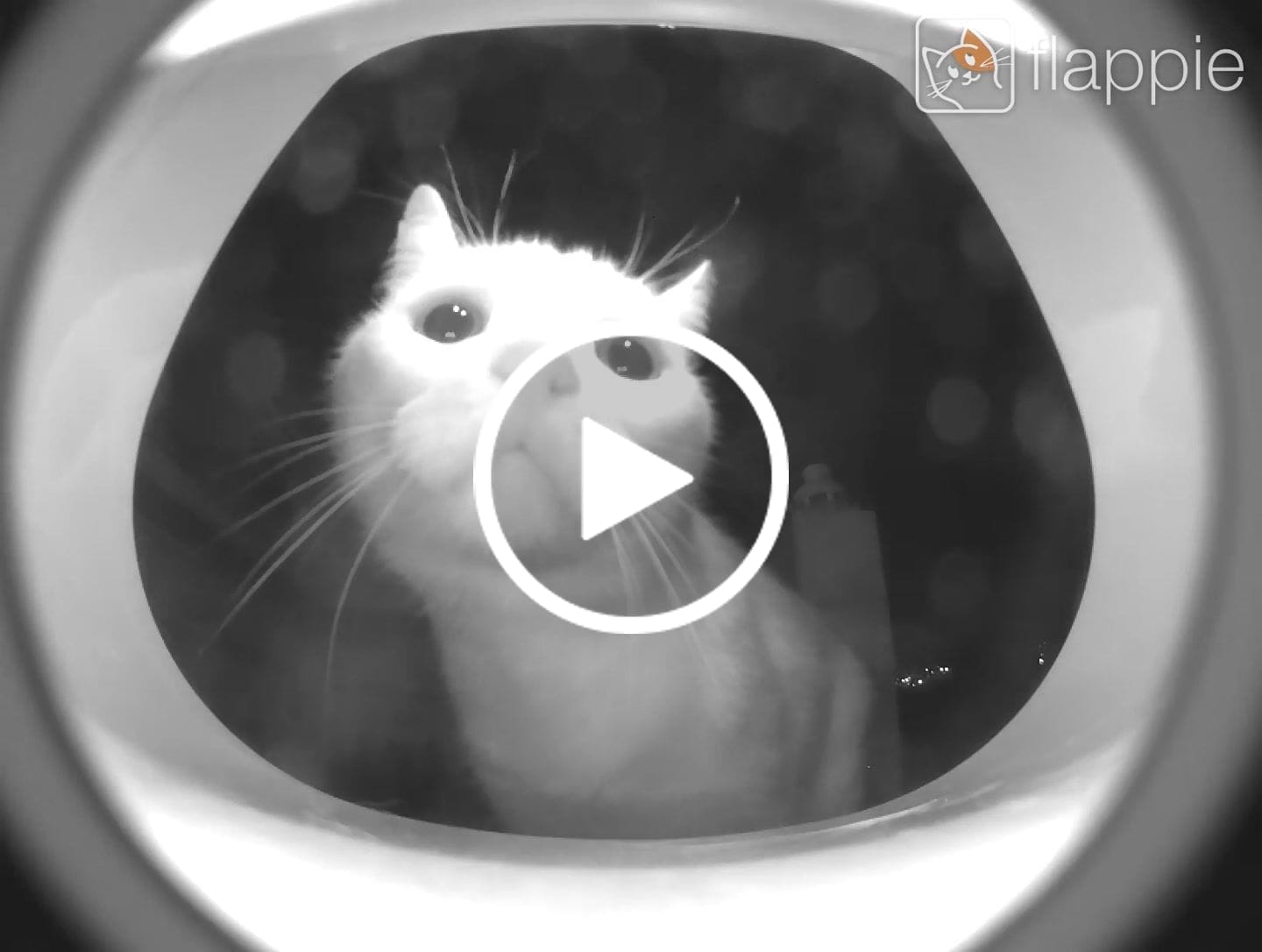 Customer video review of Flappie®