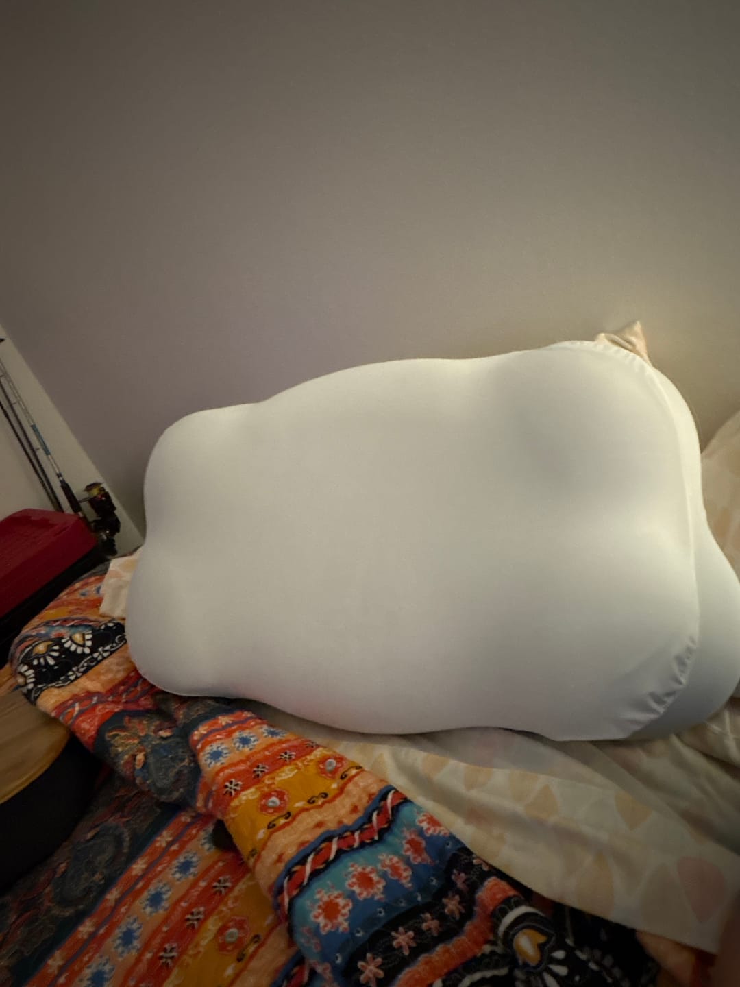 Customer photo review of CloudAlign Pillow