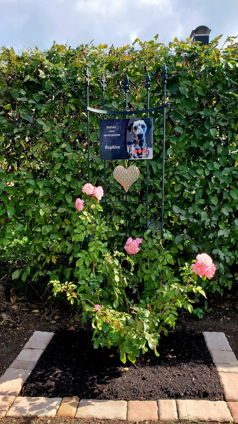 Customer photo review of Hunde Gedenktafel mit Foto & Spruch (UV- &  Wetterfest)
