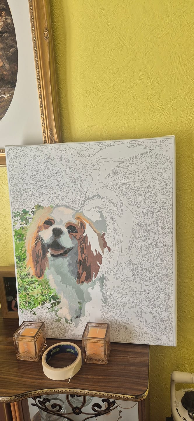 Customer photo review of Shipping Protection