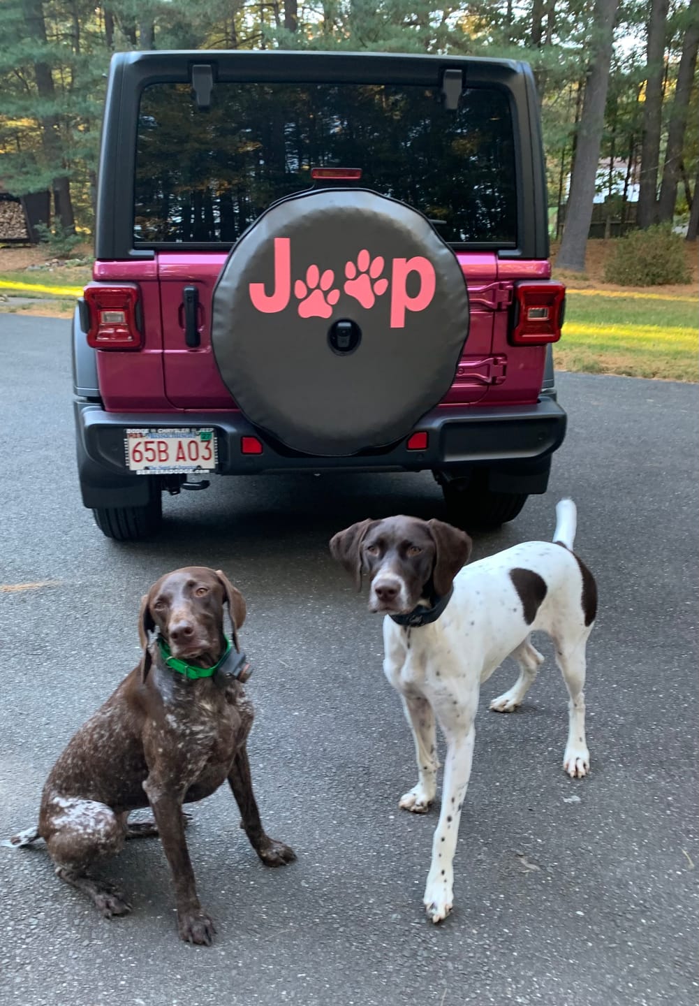 Customer photo review of Jeep Paw Spare Tire Cover for Jeep Wrangler