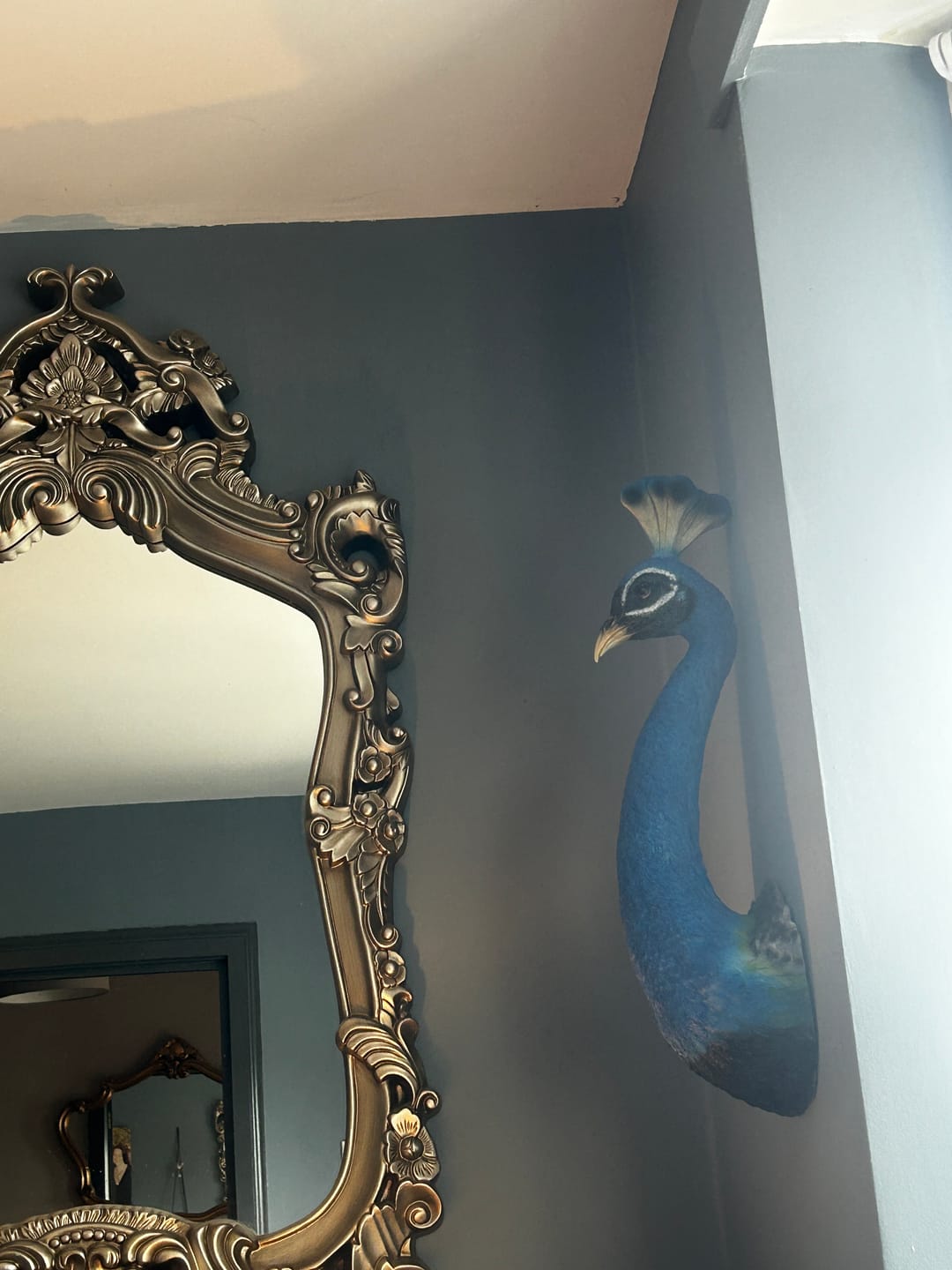 Customer photo review of Wall Mounted Head - Pretty Peacock