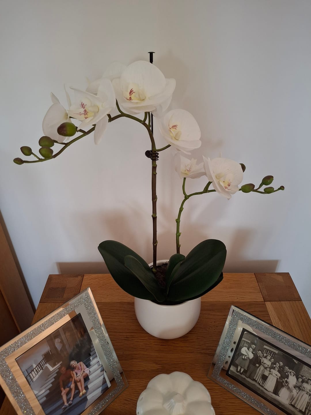 Customer photo review of Elegant Real Touch Double Stem White Potted Orchid in Round White Ceramic Pot (46cm) - A1041