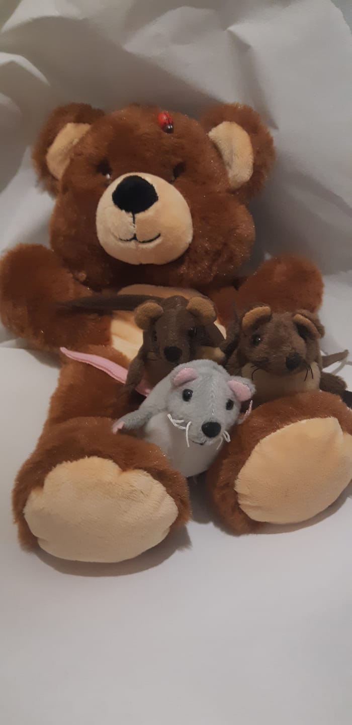Customer photo review of Marionnette Eco Ours