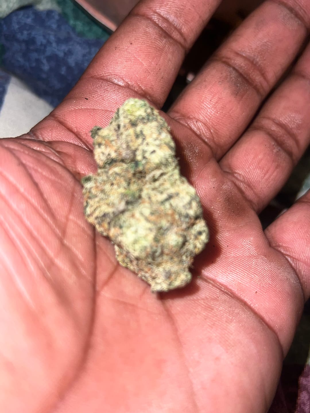 Customer photo review of Exotic Indoor Express THCA Flower (7 Grams)