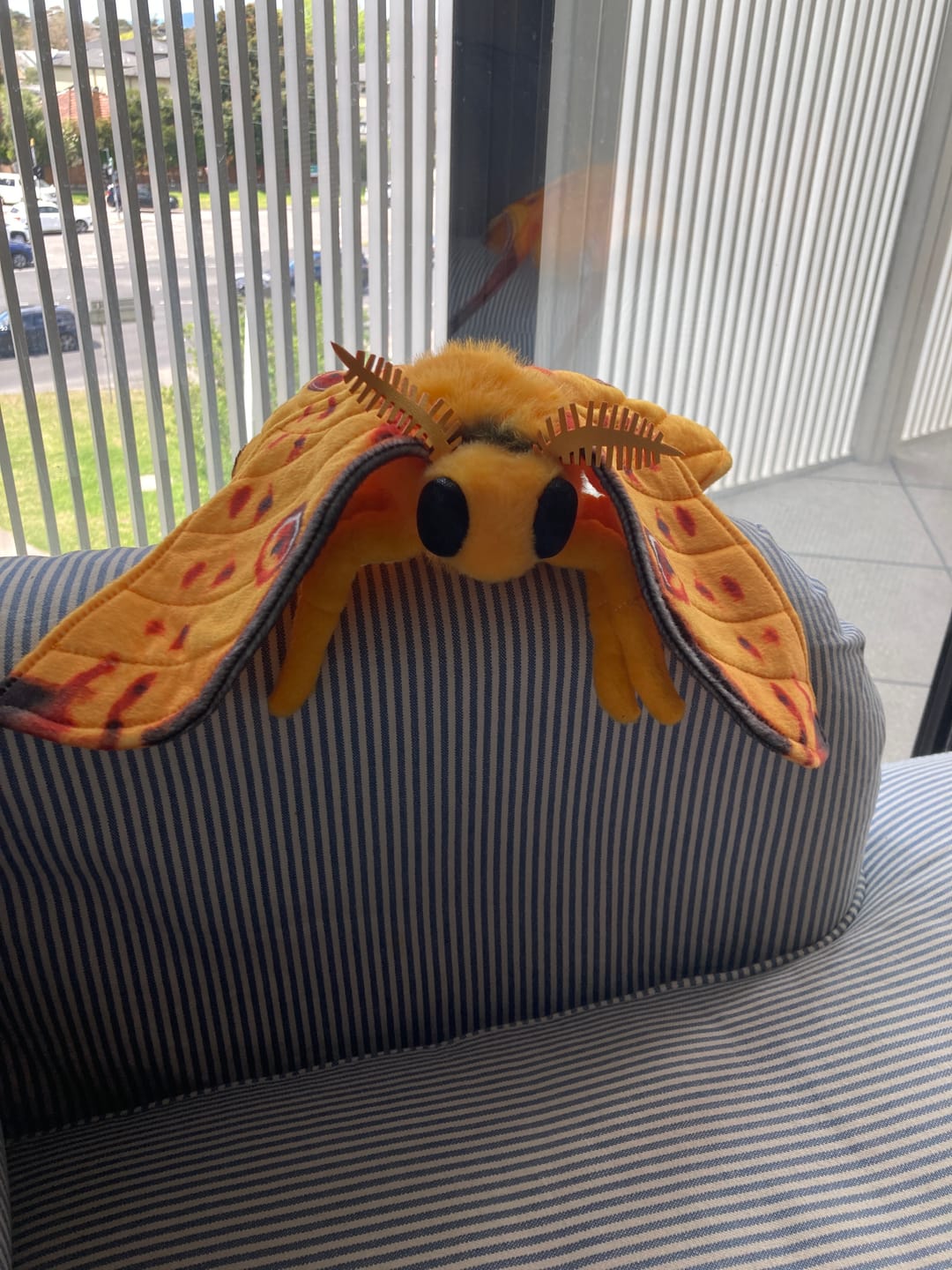 Customer photo review of Comet Moth Soft Stuffed Plush Toy
