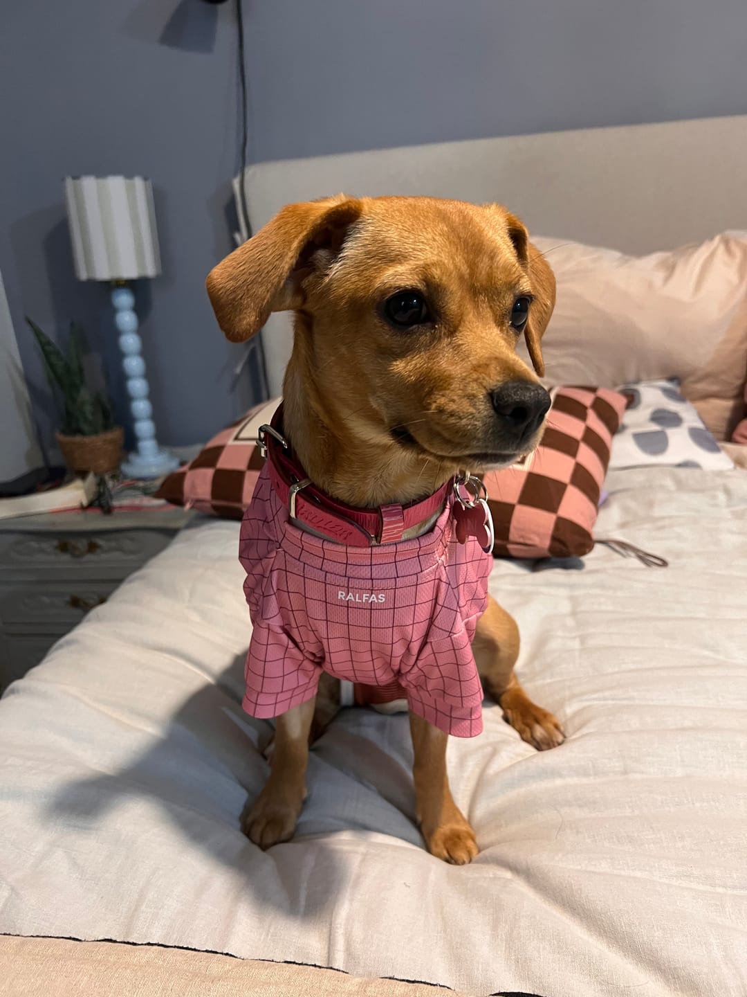 Customer photo review of Polera de Enfriamiento Rosa