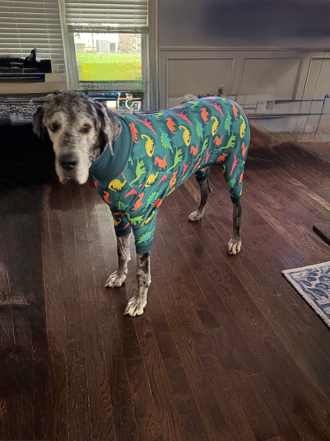 Customer photo review of Dog Pajama - Dinosaurs