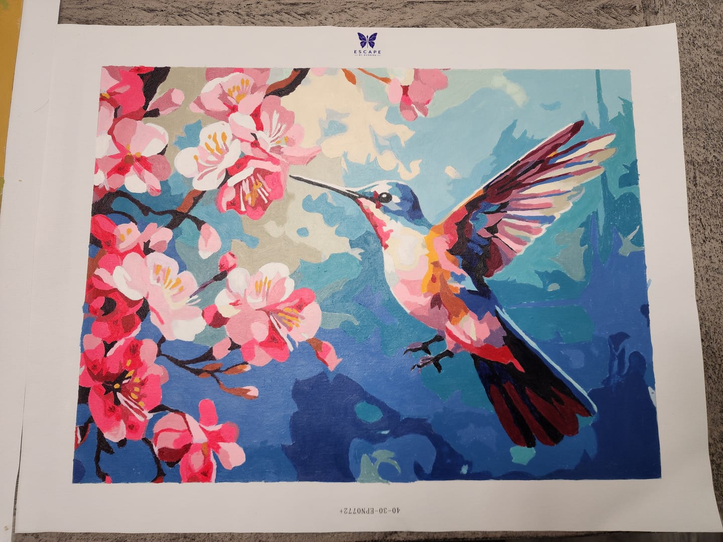 Customer photo review of Hummingbird Blossoms