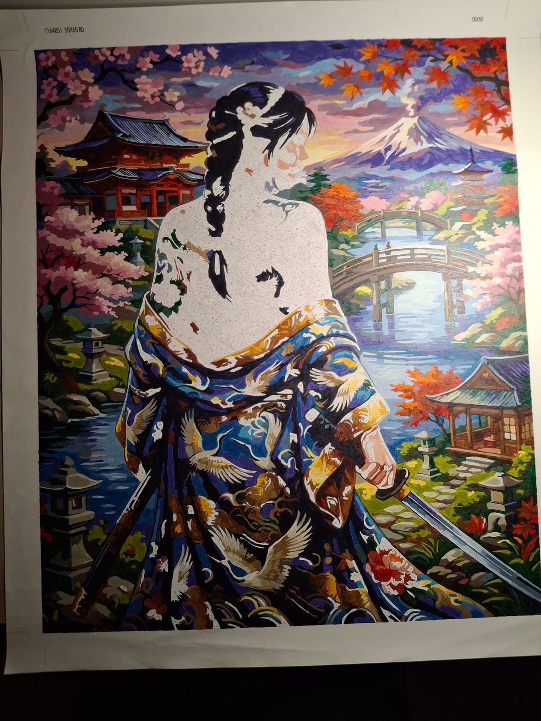 Customer photo review of Japanese Tattoo Warrior Woman (80 Color Paint by Numbers)