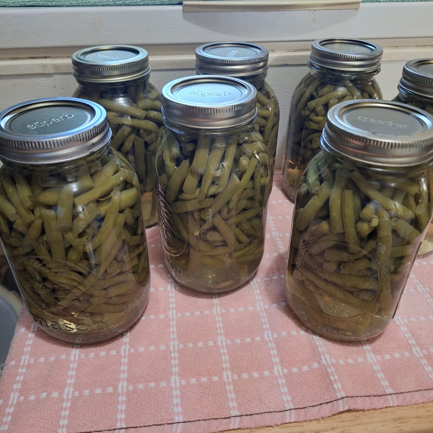 Customer photo review of Regular Mouth Canning Lids – 12 Pack