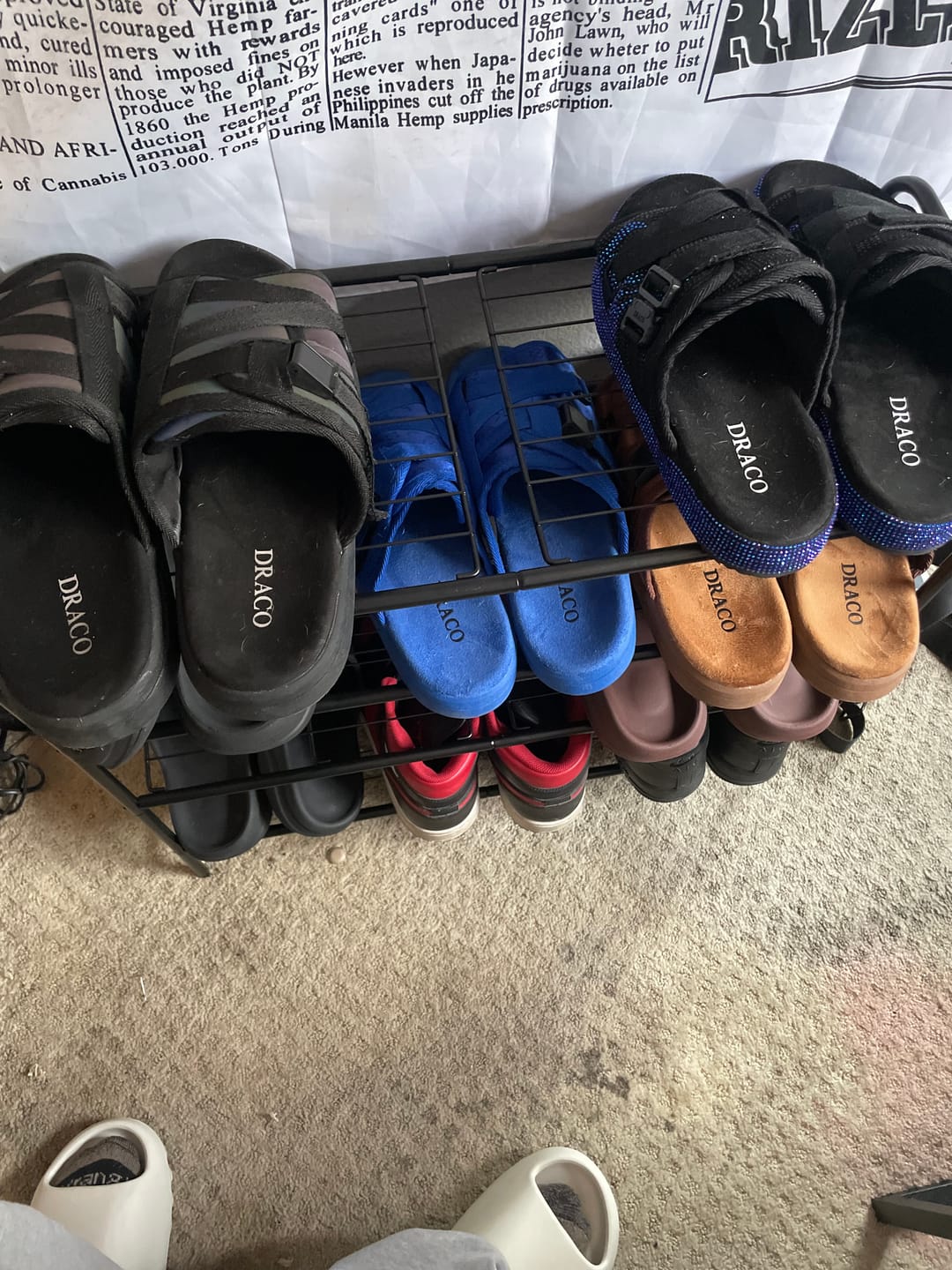 Customer photo review of Mystery DracoSlides (ADD 2 TO CART)