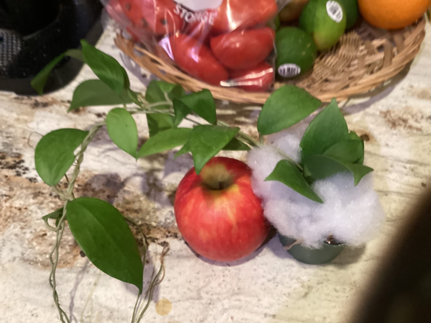 Customer photo review of Hoya 'Kicki'