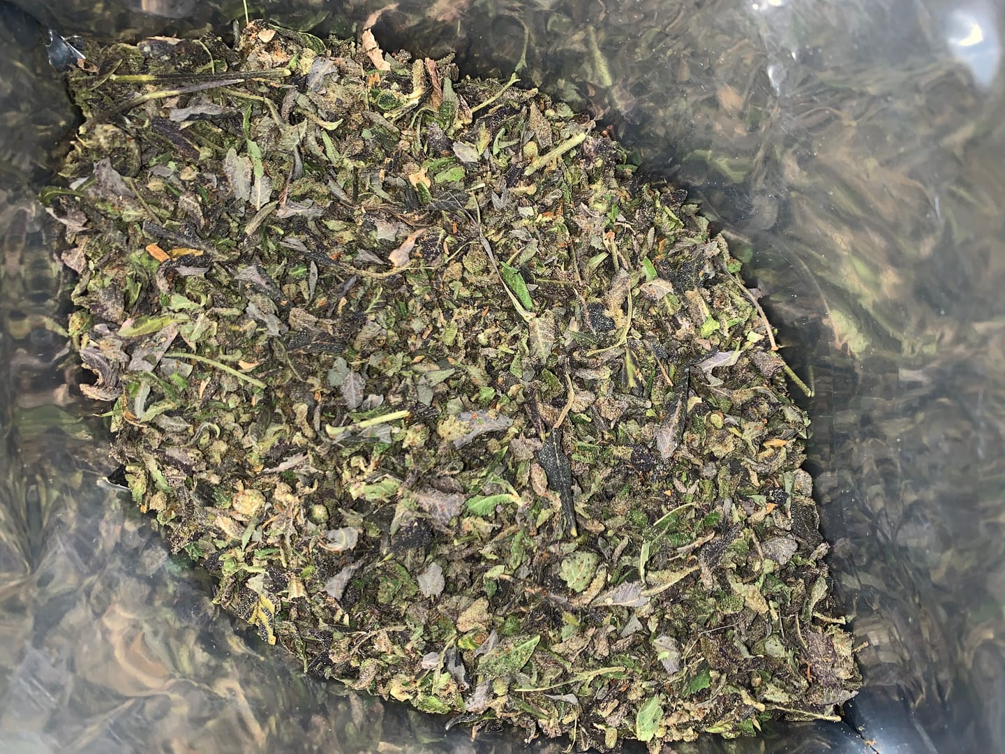 Customer photo review of Cheap THCA Flower Trim