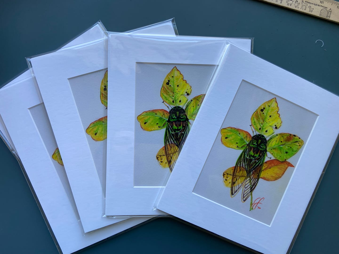 Customer photo review of 5x7 Matting Package Print