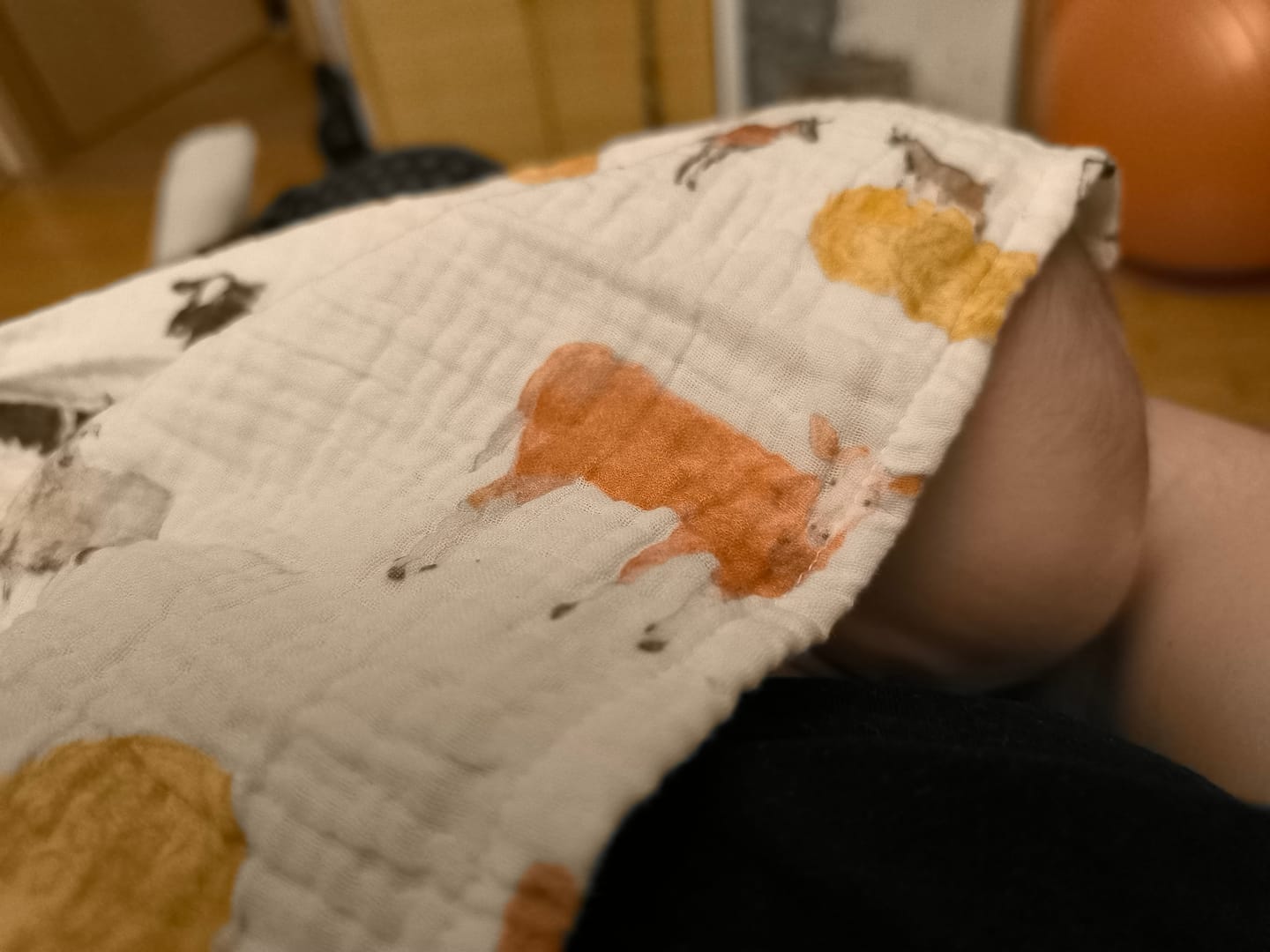 Customer photo review of Többfunkciós kiskendő csomag - Tanya kollekció - előrendelés
