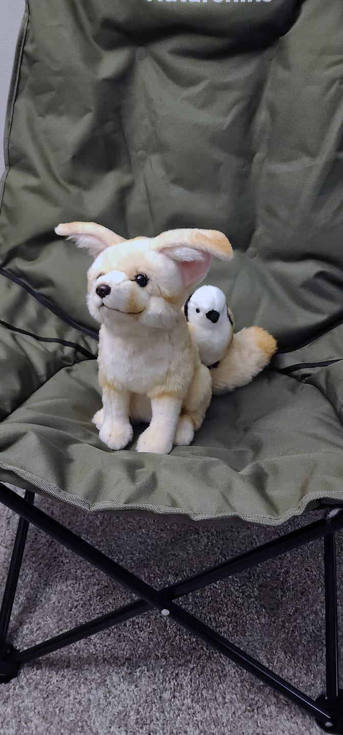 Customer photo review of Fennec Fox Plush Toy – Realistic, Adorable, and Perfectly Huggable