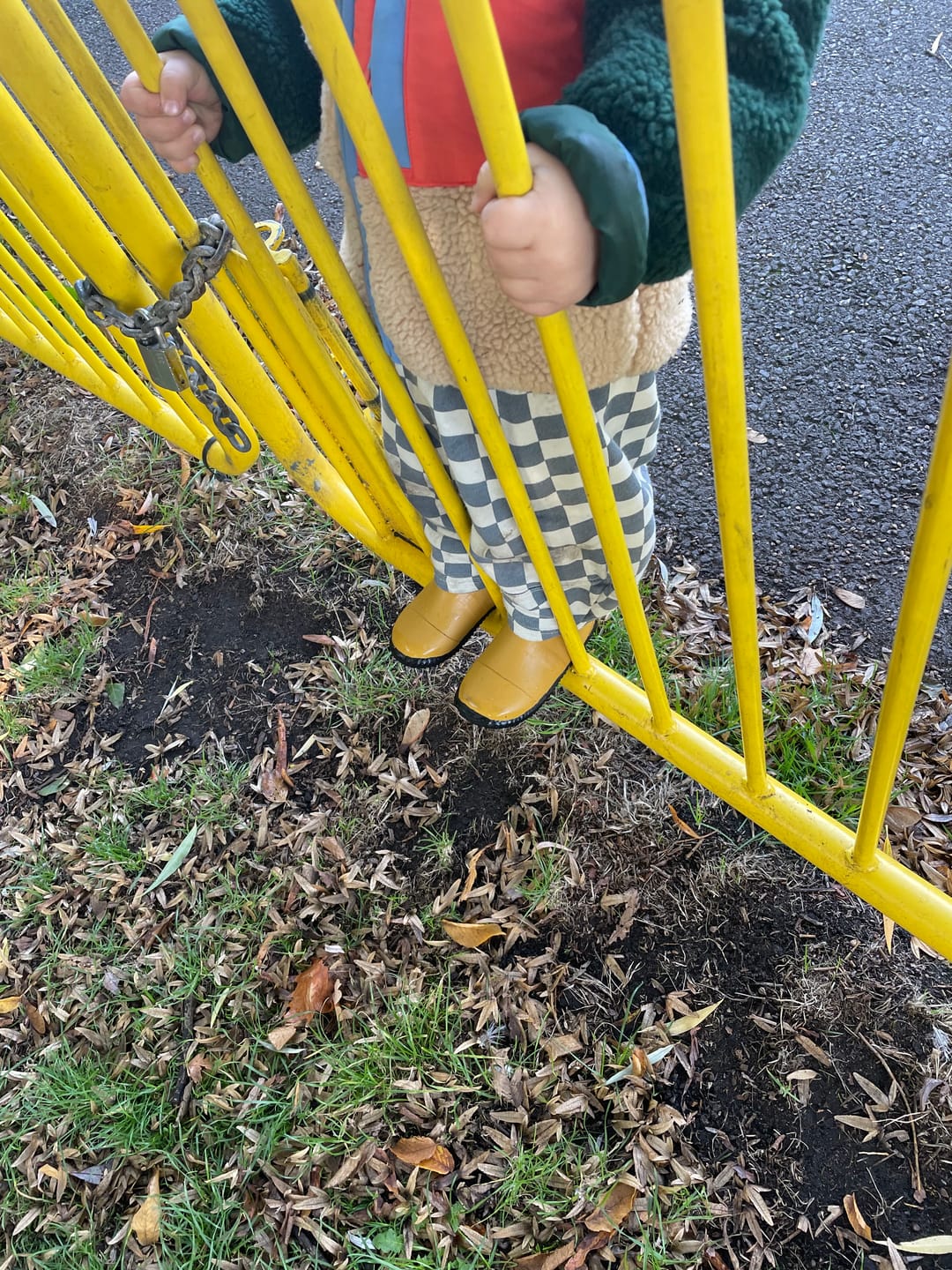 Customer photo review of Gold Lined Ankle Natural Rubber Rain Boots