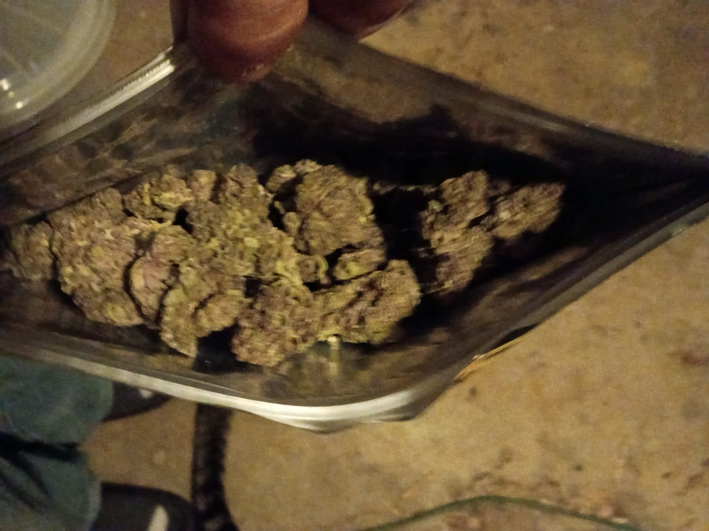 Customer photo review of Blue Gelato THCA Flower
