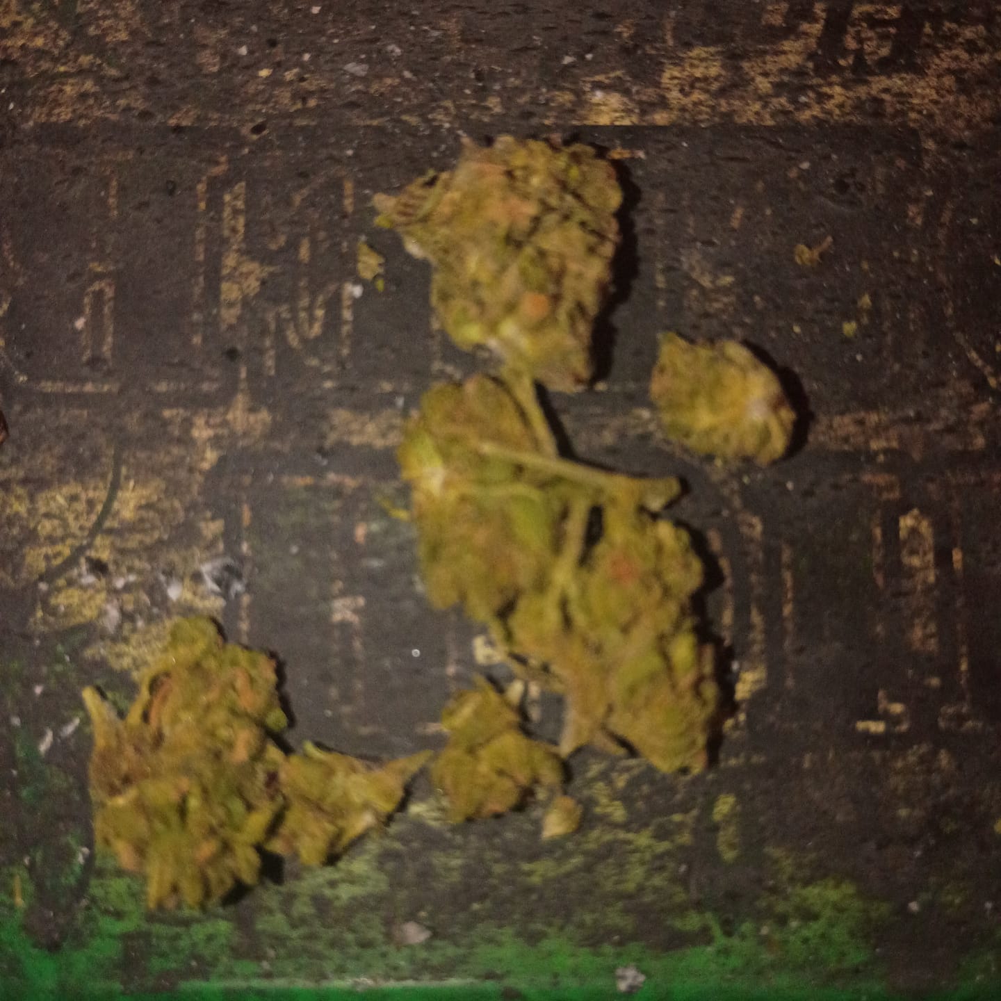 Customer photo review of LITTLES BRAND - Black Cherry Runtz - 28 Grams Littles - Indica
