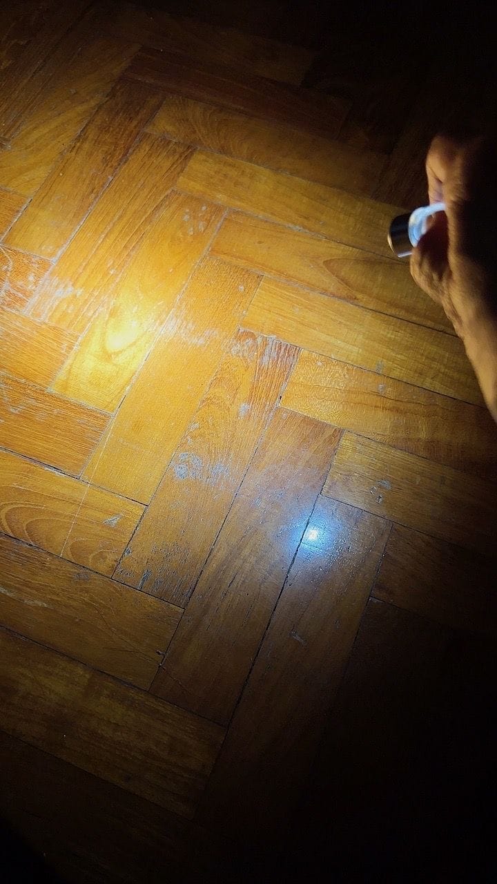 Customer photo review of TIKI (BLUE Glow In The Dark) - 300 lumens