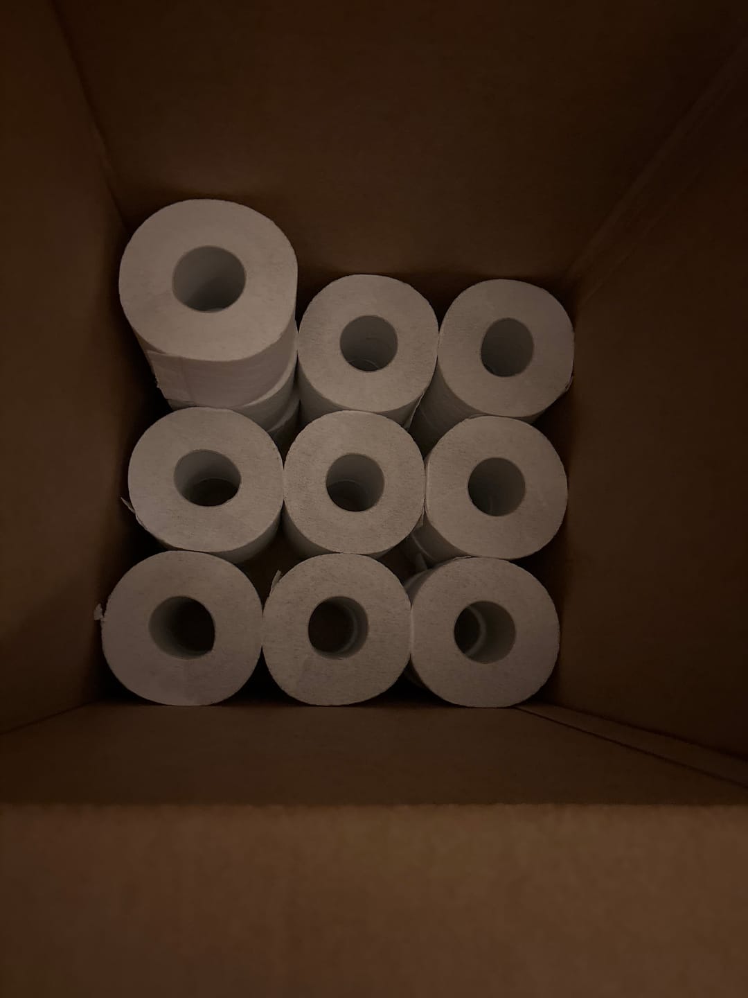 Customer photo review of 100% Recycled Toilet Paper