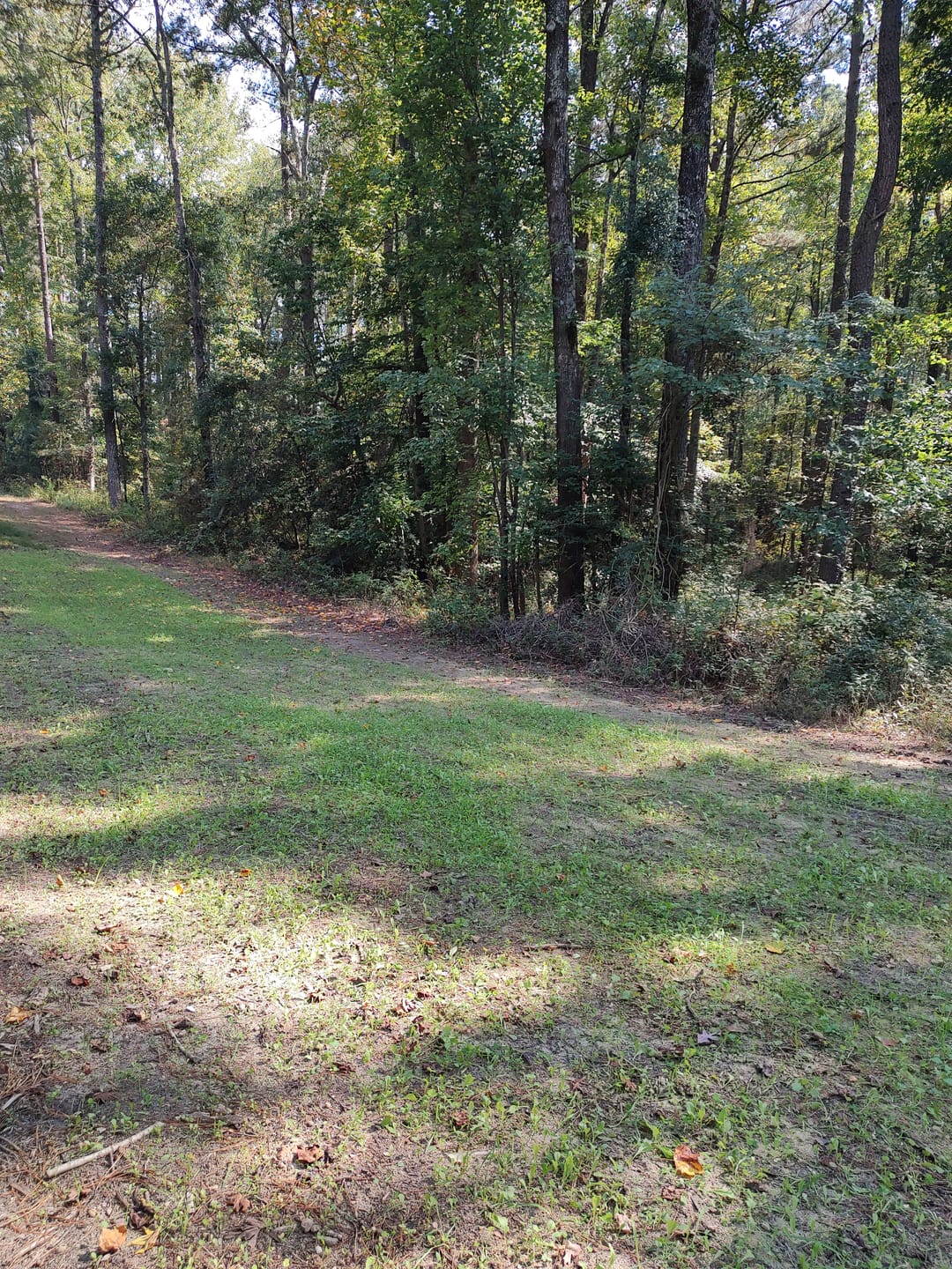 Customer photo review of Comprehensive Food Plot Soil Test Kit