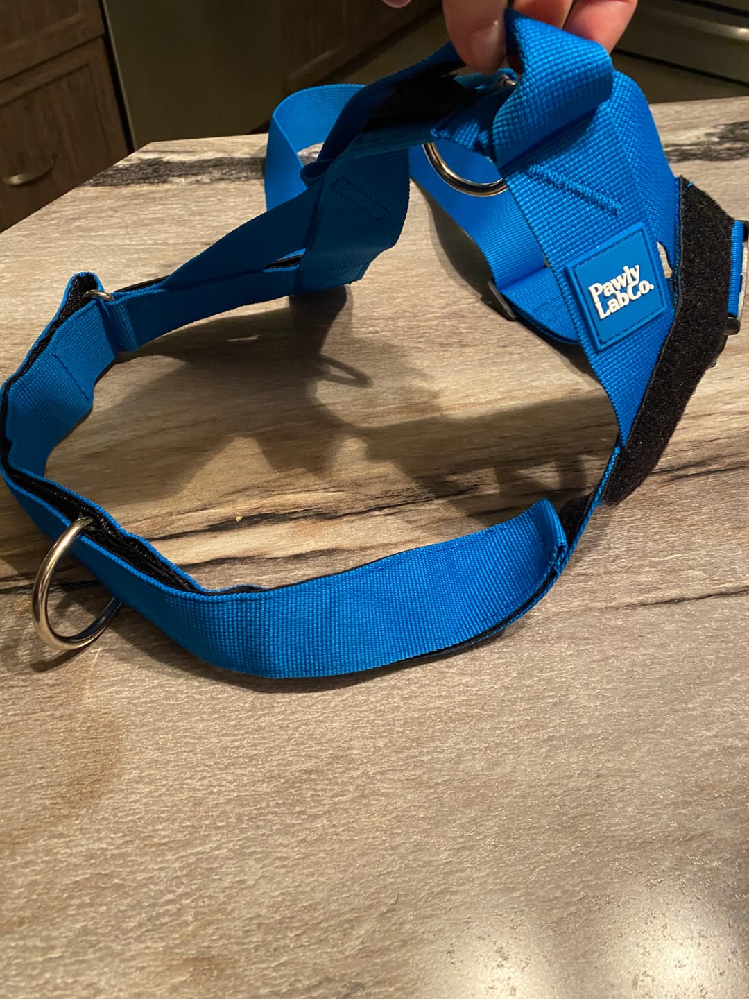 Customer photo review of No-Pull Dog Leash