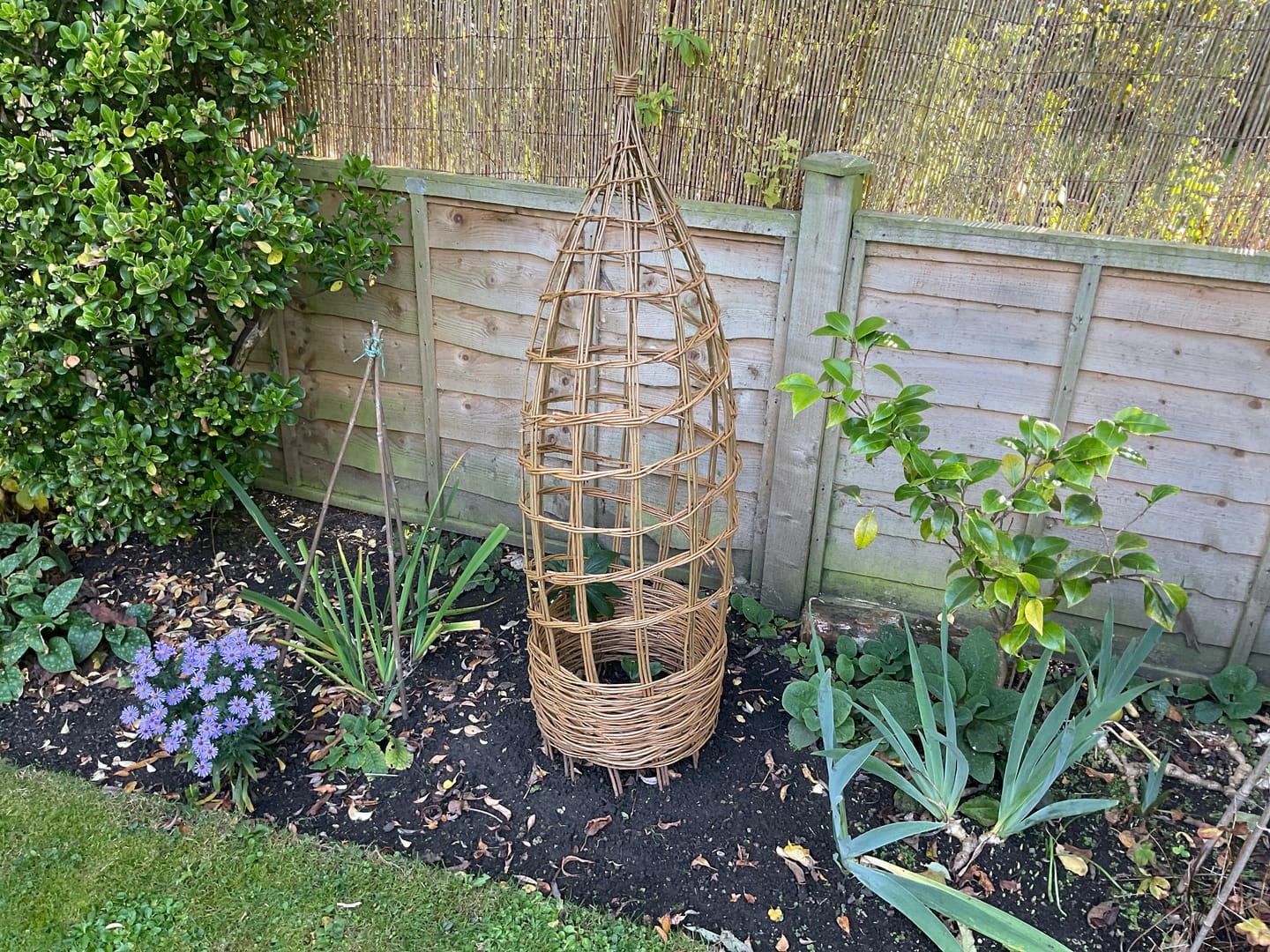 Customer photo review of The Willow Plant Support - Online Course and Kit