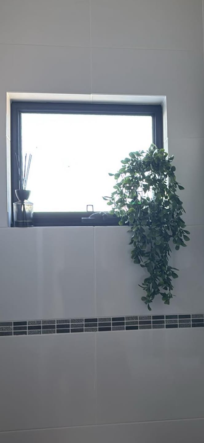 Customer photo review of Hanging Creeping Fig Vine – UV & Fire Rated (18cm x 76cm)
