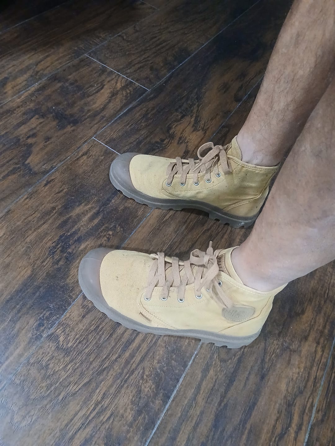 Customer photo review of 02352-209-M | PAMPA HI | WOODLIN