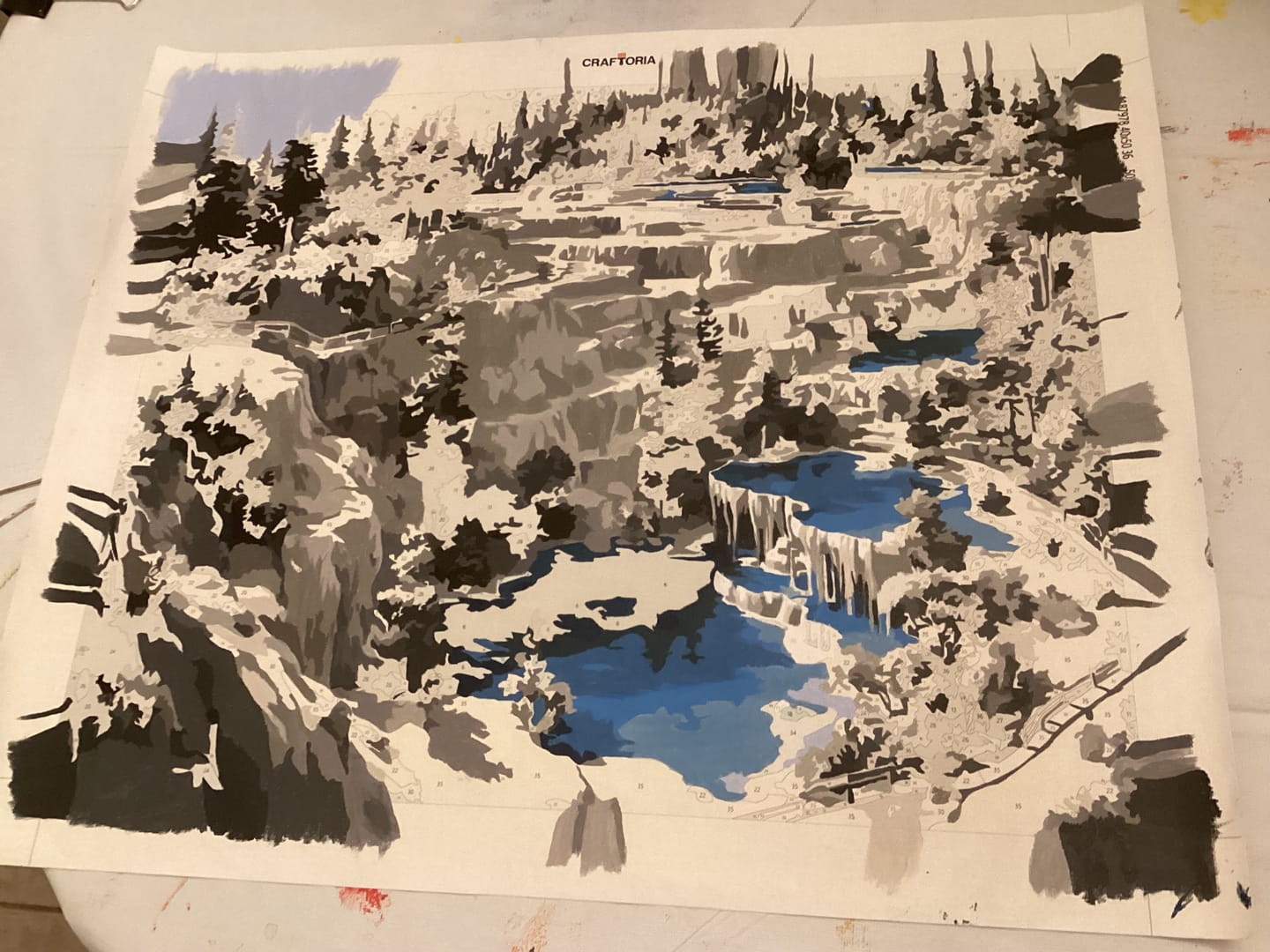 Customer photo review of Winter Shore