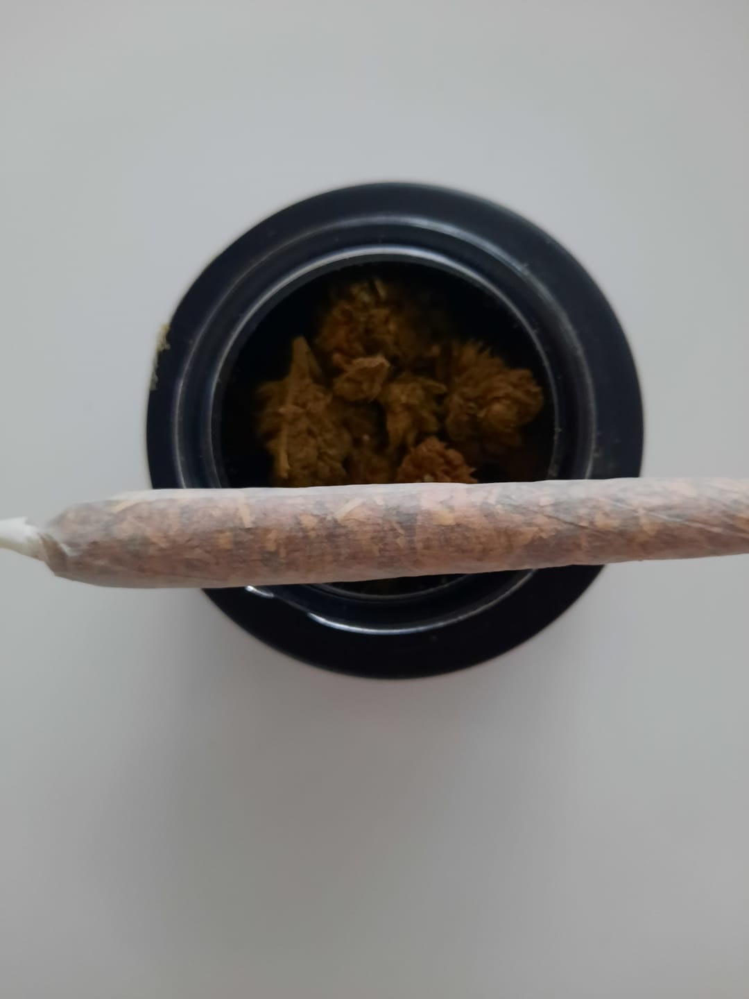 Customer photo review of 💨Vollis Turbobud - SATIVA TURBO LVL 5/5