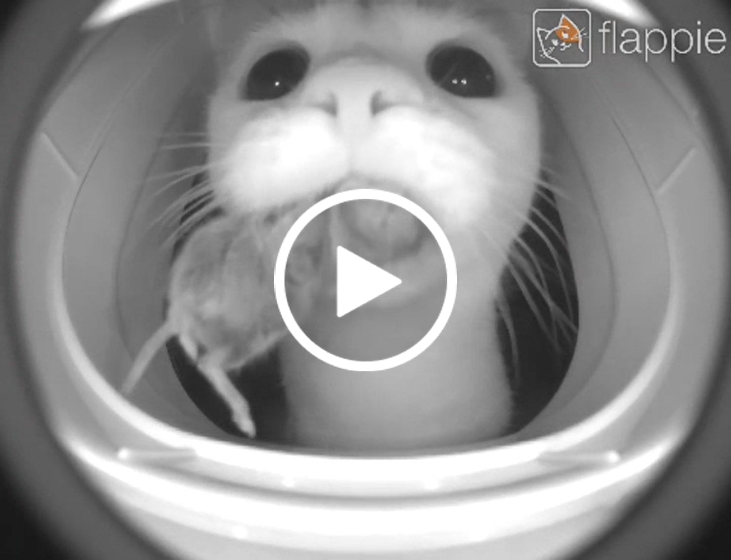 Customer video review of Flappie®