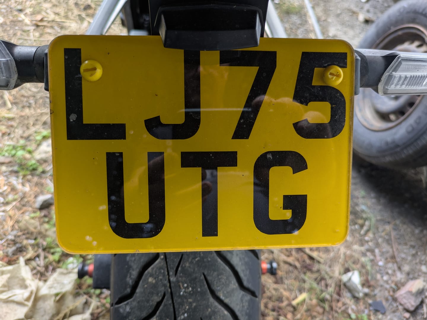 Customer photo review of 7x5" Show Plate