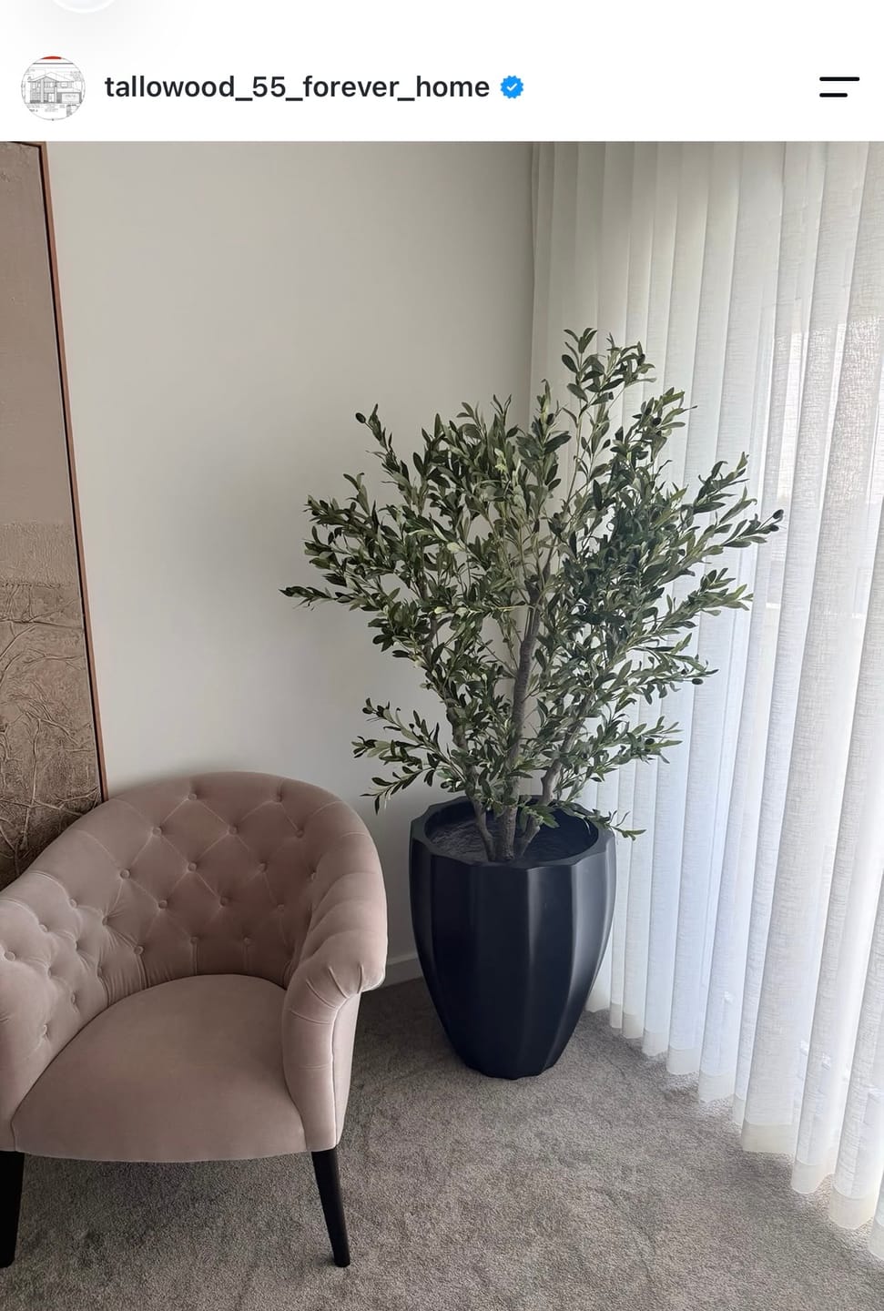 Customer photo review of Artificial Bushy Olive Tree with Olives 180cm