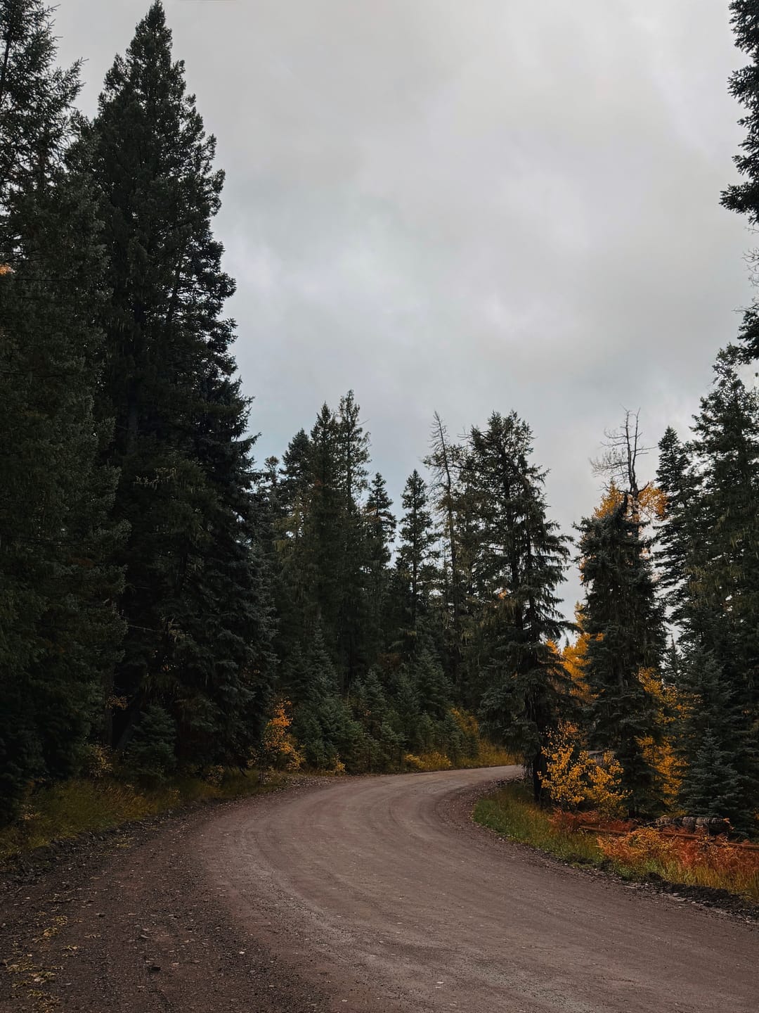 Customer photo review of Dark & Eerie Preset Collection