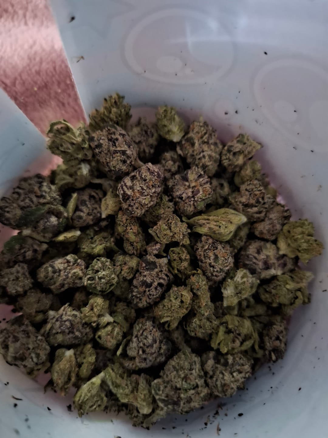 Customer photo review of Boutique Exotics Minis  - Berry Pop - 28 Grams - Hybrid