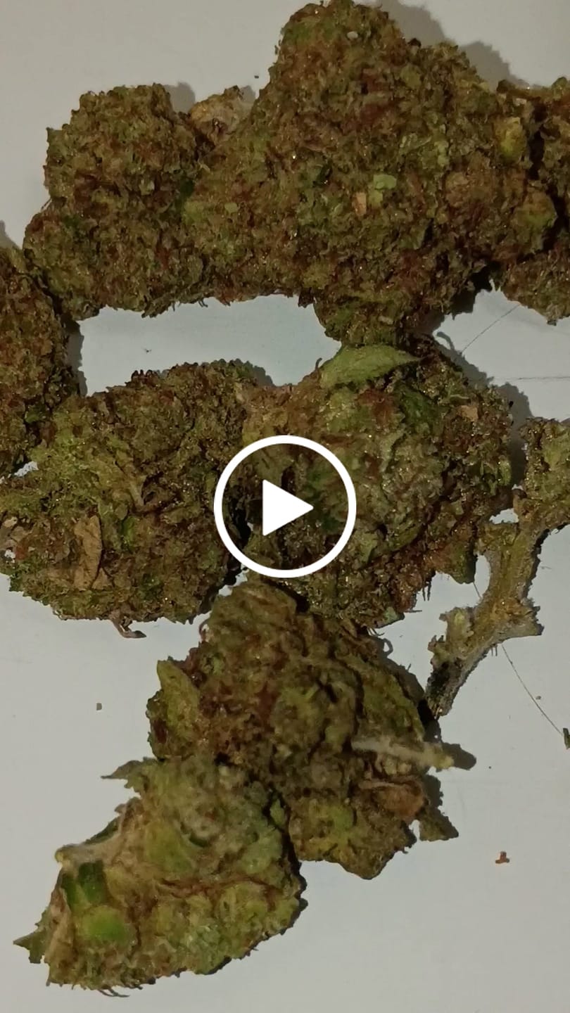 Customer video review of Cheap THCA Smalls Ounce