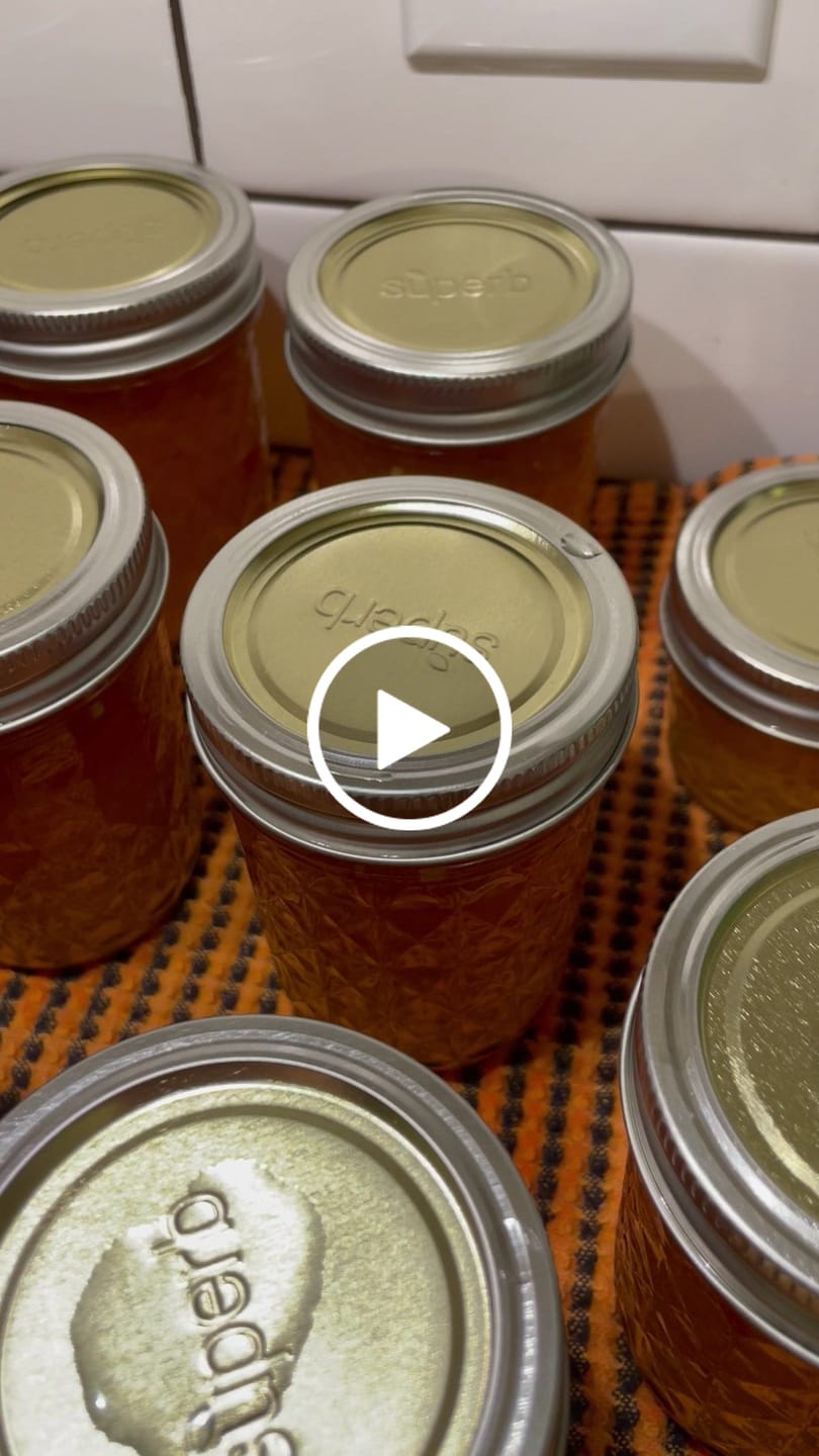 Customer video review of Bulk Regular Mouth Canning Lids – 60 Pack