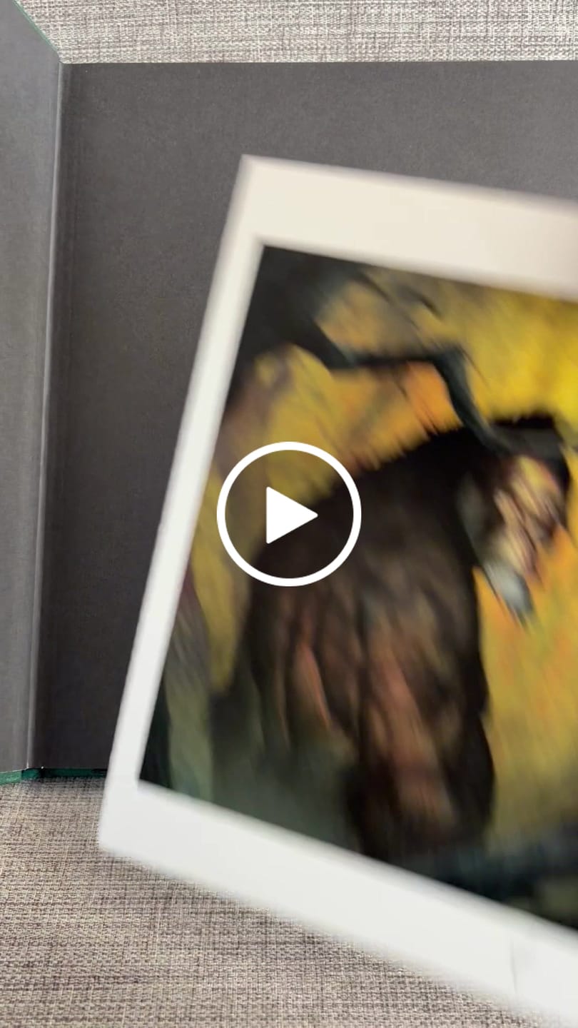 Customer video review of PRE-ORDER: CRYPTOZOOLOGY - SIGNED BOOK & PRINT