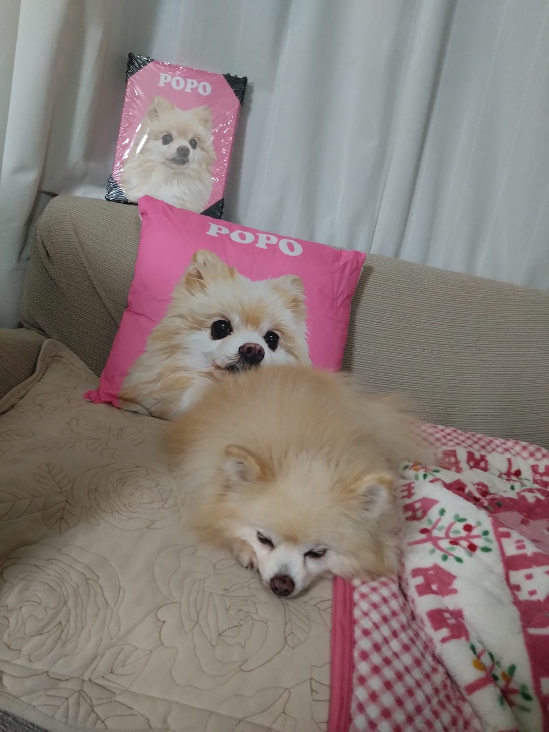 Customer photo review of Petcanva©オーダーメイド ペット似顔絵【3点セット】