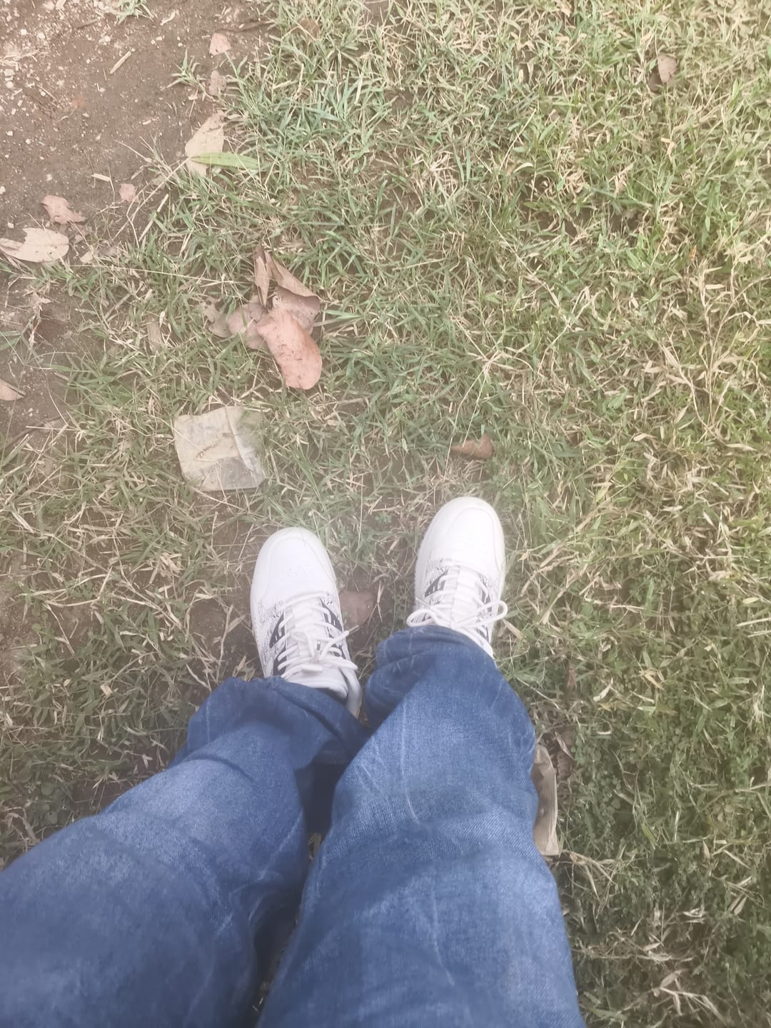 Customer photo review of Street Skate 2.0 Beige Mid Top Premium Flat Sole Sneakers