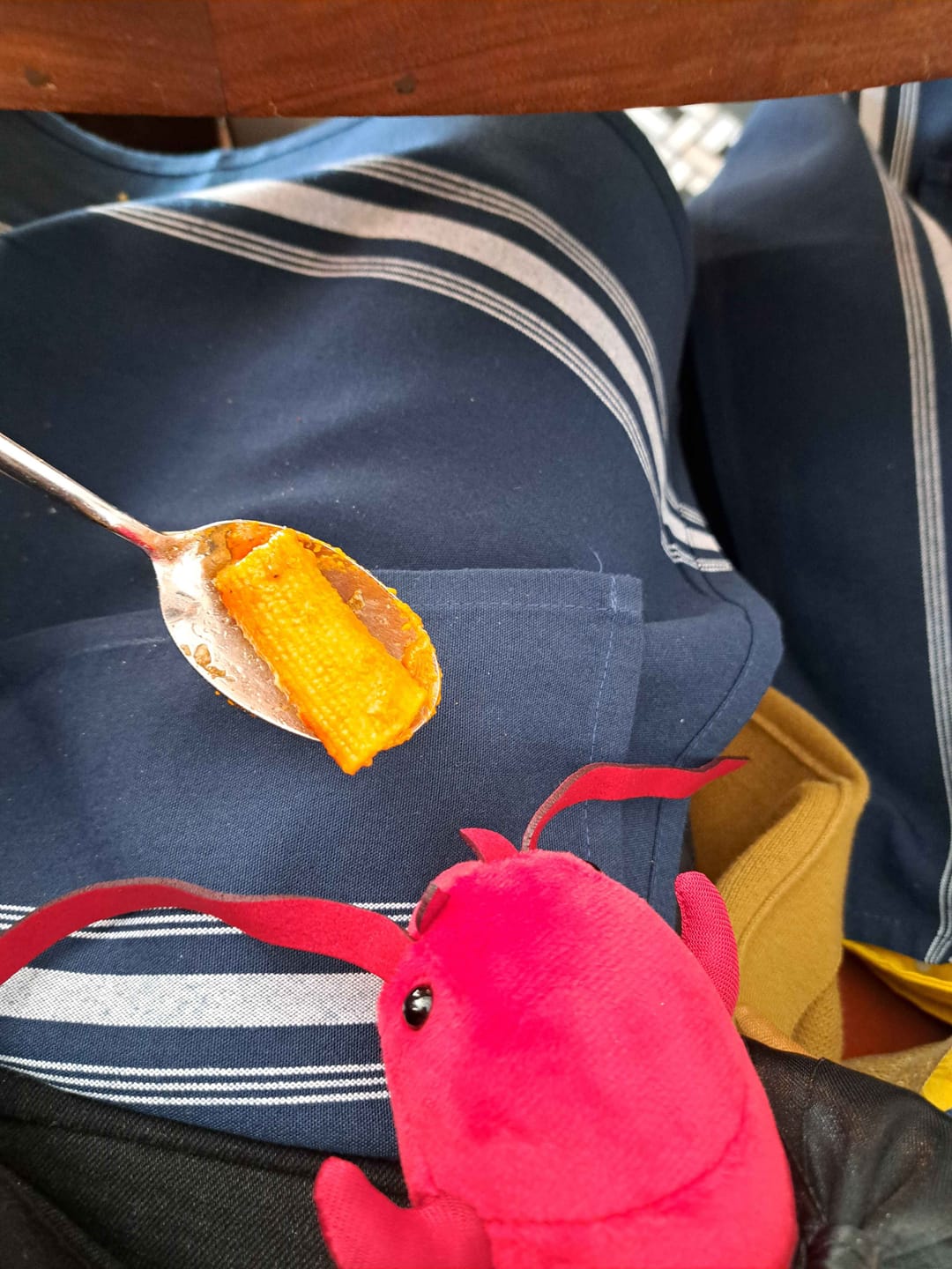 Customer photo review of Chinese Red-Headed Centipede Plush – Realistic and Soft Stuffed Toy for Nature Enthusiasts