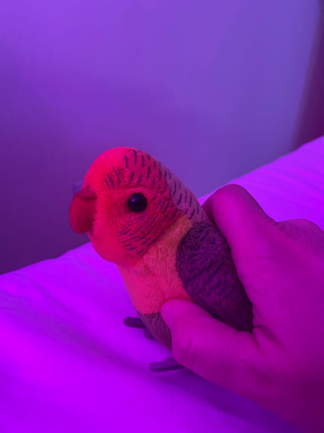 Customer photo review of Lilian's lovebird Plush – Lifelike and Soft Stuffed Parrot for Bird Lovers