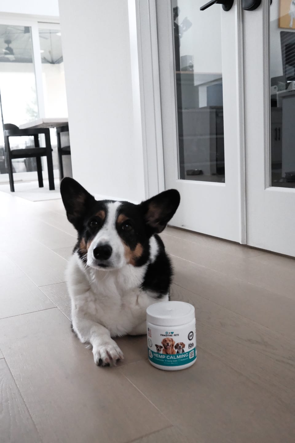 Customer photo review of Hemp Calming Chews for Dogs – 120 Soft Chews