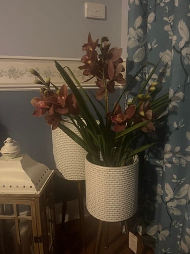 Customer's Fiora Planter set with white pin-dot pots on gold tripod legs, holding a large flowering plant indoors.